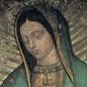 Ave Maria. Ite Ad Joseph.'s profile picture