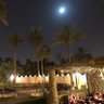 محمد بن عبدالعزيز ابراهيم النفيسة profil fotoğrafı