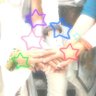 みみみ。 profil fotoğrafı