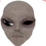 Profilbild von Charles Stacy