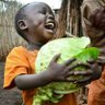 __.yusuf__'s profile picture
