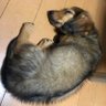 Фото профиля 負担率50%なんてやってられん