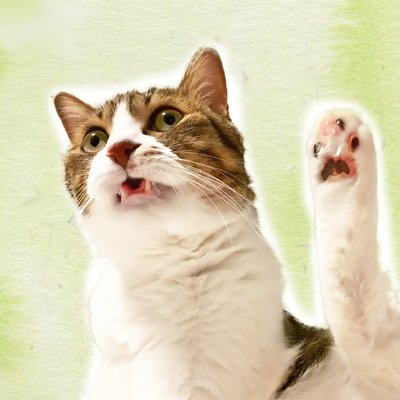nyandressing's profile picture