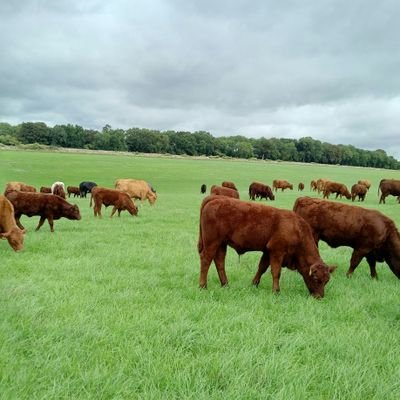 Farmerdbarton's profile picture