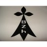 Bzh35 的头像