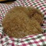 あきんど 的头像