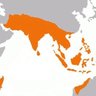proud to be Indian's profile picture