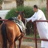 Profilbild von علاء سعيد صادق⭐️⭐️💜⭐️⭐️