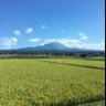 たっちゃん's profile picture