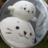 Profilbild von しろたいわん(・∀・)('ω')('ω')