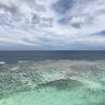 きく 的头像