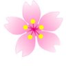 Profilbild von 桜子