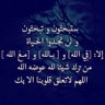 ابومحمد الشهراني 的头像