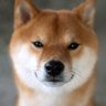 Profilbild von かず