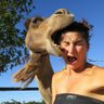Profilbild von Horsemouth