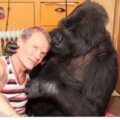 flea333's profile picture
