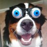 Sironan1's profile picture