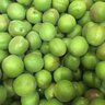 菜荷賀 深志 情報開示が大事 的头像
