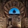 Фото профиля بوعلام