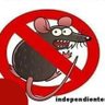CARDOZE חי's profile picture