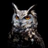 PlameniOganj's profile picture