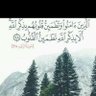 أسد السنة profil fotoğrafı