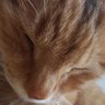 beji-taka profil fotoğrafı