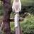 Profilbild von のらねこ
