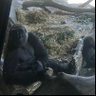 あっくや's profile picture