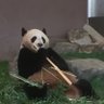 西成太郎 的头像
