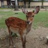 なよ's profile picture