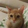 Фото профиля Ari Gata
