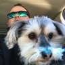 PSCT24's profile picture