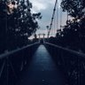 Matt James profil fotoğrafı