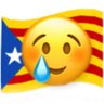 NSN Catalunya 的头像