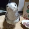 Profilbild von ゆき