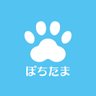 ぽちたま薬局【公式】 profil fotoğrafı