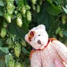 Profilbild von Hannele Bjørnen 🐻