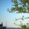 Фото профиля Tous droits réservés
