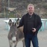 LeMule's profile picture