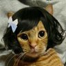 ぼん@🐅🐅🐅🐈🐅💨 profil fotoğrafı
