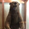 BullBear🐸's profile picture