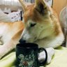 Фото профиля akikon_x@6/13桜LaFamilleり-5