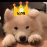 law dog, esq.'s profile picture
