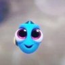 princesa coral profil fotoğrafı