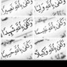 ن. العتيبي♡ 的头像
