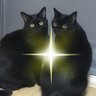 キャサリン🐈⬛'s profile picture