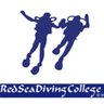 Red Sea Diving College 的头像