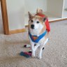 Tony's profile picture