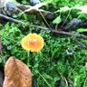 いーた profil fotoğrafı